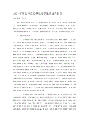 2023年度公司党委书记述职述廉述责报告.docx
