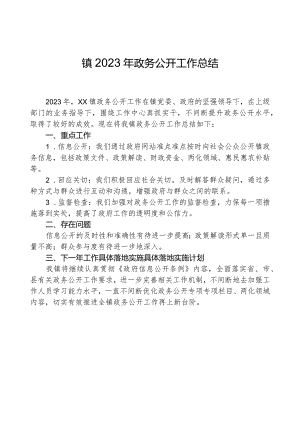 镇2023年政务公开工作总结04.docx