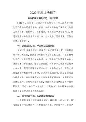 2022年度述法报告.docx