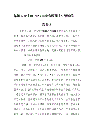 某镇人大主席2023年度专题民主生活会发言提纲.docx