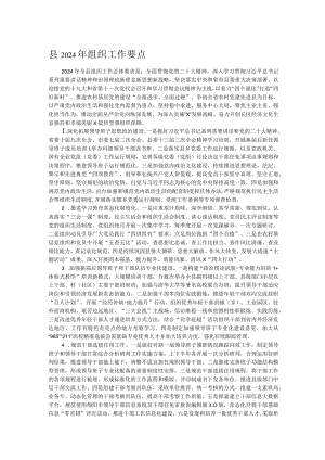 县2024年组织工作要点.docx