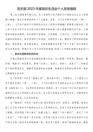 党支部2023年度组织生活会个人发言提纲.docx