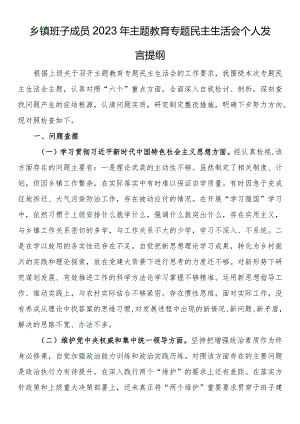 乡镇班子成员2023年主题教育专题民主生活会个人发言提纲.docx