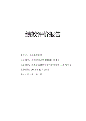 绩效评价报告.docx