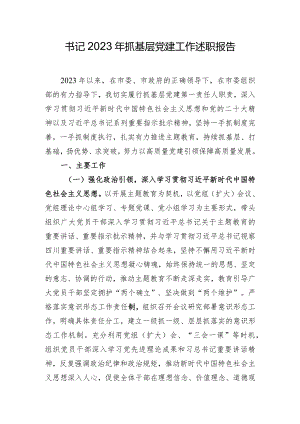 书记2023年抓基层党建工作述职报告.docx