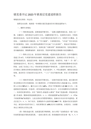 镇党委书记2023年抓基层党建述职报告.docx