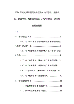 2024年党支部专题民主生活会（践行宗旨、服务人民、求真务实、狠抓落实等新6个对照方面）对照检查检查材料范文.docx
