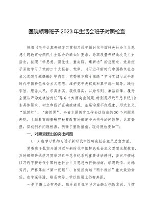 医院党委班子2023-2024年度专题民主生活会六个方面班子对照检查（含案例剖析+上年度整改）.docx