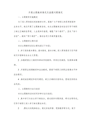 开展主题教育情况及查摆问题情况.docx
