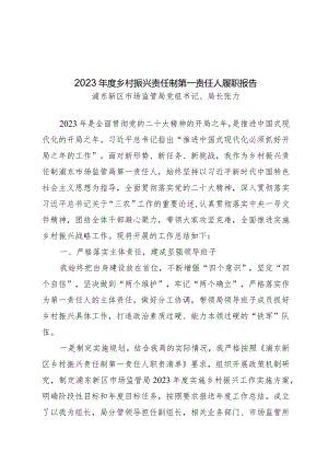 2023年度乡村振兴责任制第一责任人履职报告.docx