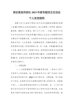 某区委宣传部长2023年度专题民主生活会个人发言提纲.docx