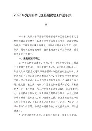 2023年党支部书记抓基层党建工作述职报告.docx