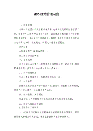 镇农经站管理制度.docx
