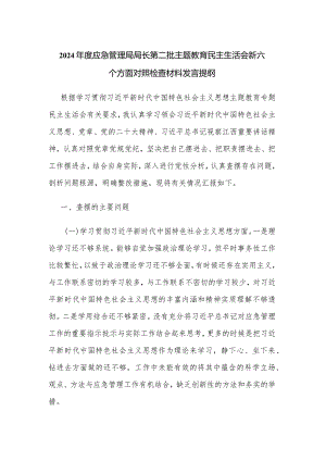 2024年度应急管理局局长第二批主题教育民主生活会新六个方面对照检查材料发言提纲.docx