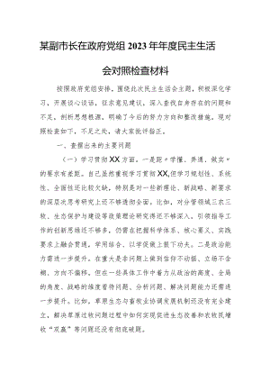 某副市长在政府党组2023年年度民主生活会对照检查材料.docx