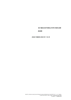 通光线缆：四川通光光纤有限公司审计报告及财务报表.docx