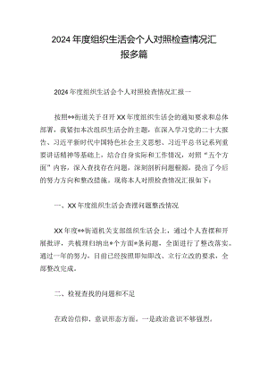 2024年度组织生活会个人对照检查情况汇报多篇.docx