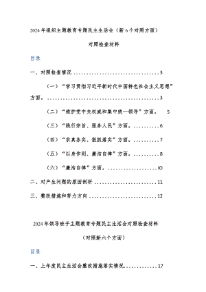 两篇：2024年组织、班子主题教育专题民主生活会（新6个对照方面）对照检查材料范文.docx
