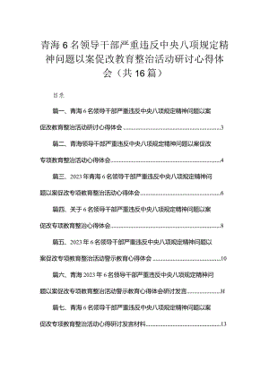 青海6名领导干部严重违反中央八项规定精神问题以案促改教育整治活动研讨心得体会精选16篇.docx