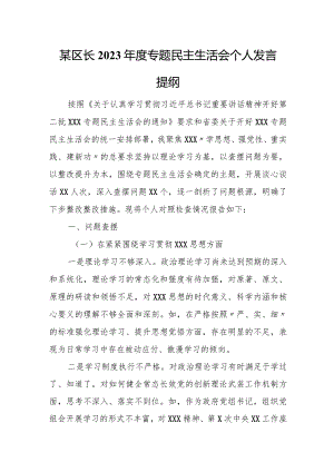 某区长2023年度专题民主生活会个人发言提纲.docx