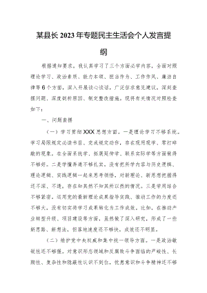 某县长2023年专题民主生活会个人发言提纲.docx