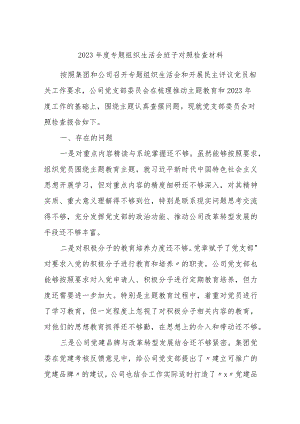 国企公司党支部班子2023-2024年度专题组织生活会班子对照检查材料.docx