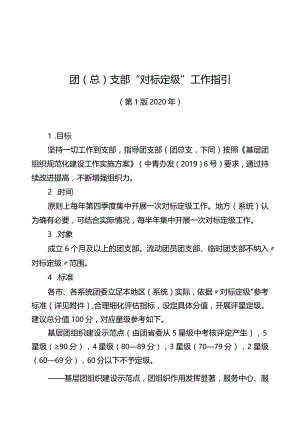 团总支部“对标定级”工作指引.docx