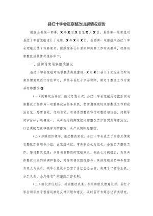 县红十字会巡察整改进展情况报告.docx