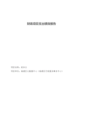 财政项目支出绩效报告.docx