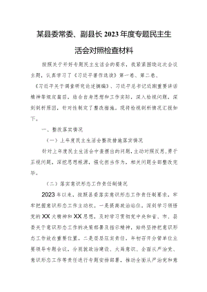 某县委常委、副县长2023年度专题民主生活会对照检查材料.docx