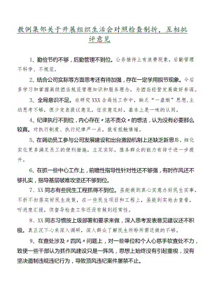 数例集锦关于开展组织生活会对照检查剖析、互相批评意见.docx