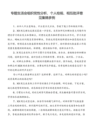 专题生活会组织党性分析、个人检视、相互批评意见集锦多例.docx