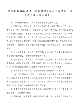 集锦数例2024年关于开展组织生活会自我剖析、班子成员相互批评意见.docx