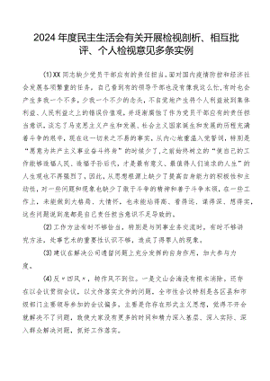 2024年度民主生活会有关开展检视剖析、相互批评、个人检视意见多条实例.docx