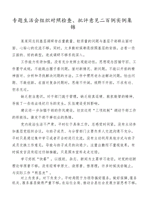 专题生活会组织对照检查、批评意见二百例实例集锦.docx