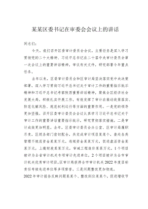 某某区委书记在审委会会议上的讲话.docx