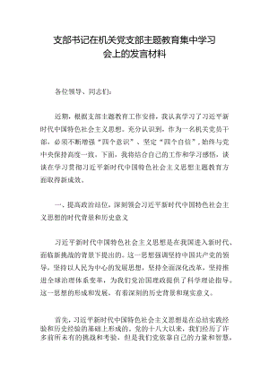 支部书记在机关党支部主题教育集中学习会上的发言材料.docx