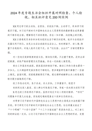 2024年度专题生活会组织开展对照检查、个人检视、相互批评意见200例实例.docx