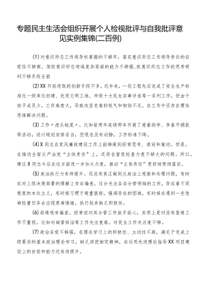 专题民主生活会组织开展个人检视批评与自我批评意见实例集锦（二百例）.docx