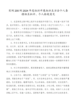 实例200例2024年度组织开展组织生活会个人查摆相互批评、个人检视意见.docx