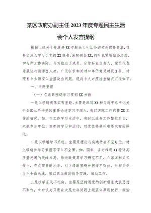 区政府办副主任2023年度专题民主生活会个人发言提纲.docx