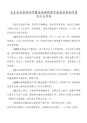 民主生活会组织开展自我剖析班子成员相互批评意见汇总多条.docx