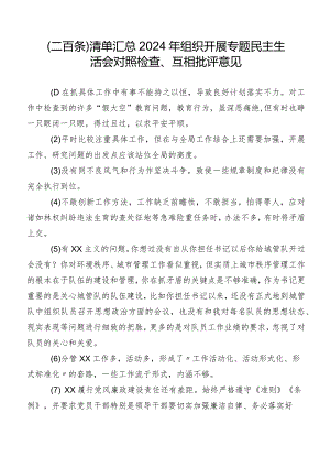 （二百条）清单汇总2024年组织开展专题民主生活会对照检查、互相批评意见.docx