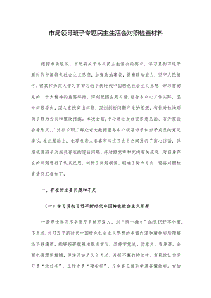 市局领导班子专题民主生活会对照检查材料.docx