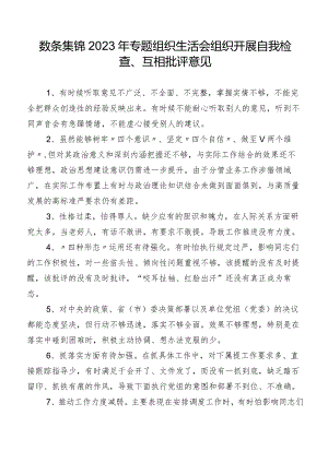 数条集锦2023年专题组织生活会组织开展自我检查、互相批评意见.docx