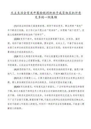 民主生活会有关开展检视剖析班子成员相互批评意见多例实例集锦.docx