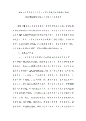 2024年专题民主生活会包括对照反面典型案例和树立和践行正确政绩观方面八个方面个人发言提纲.docx