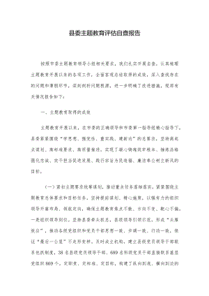 县委主题教育评估自查报告.docx