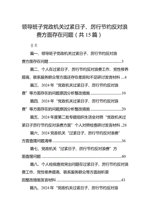 领导班子党政机关过紧日子、厉行节约反对浪费方面存在问题15篇（精编版）.docx