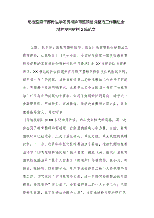 纪检监察干部传达学习贯彻教育整顿检视整治工作推进会精神发言材料2篇范文.docx